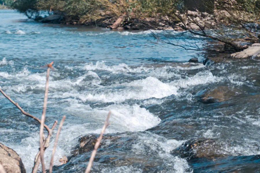 一氧化氢是什么？