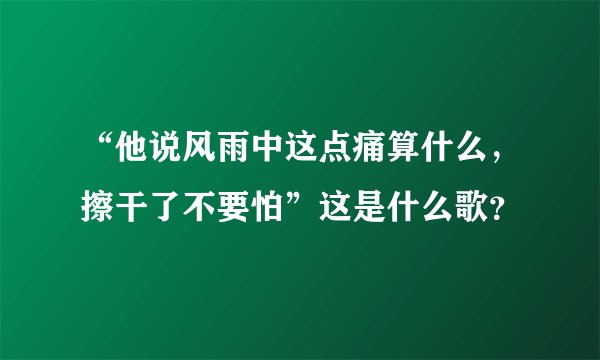 “他说风雨中这点痛算什么，擦干了不要怕”这是什么歌？