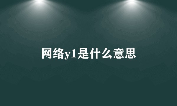 网络y1是什么意思