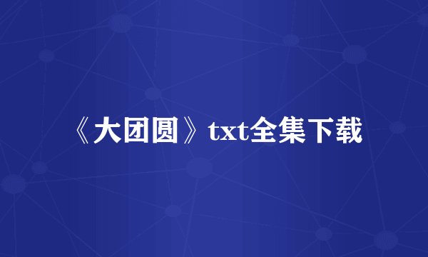 《大团圆》txt全集下载