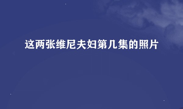 这两张维尼夫妇第几集的照片