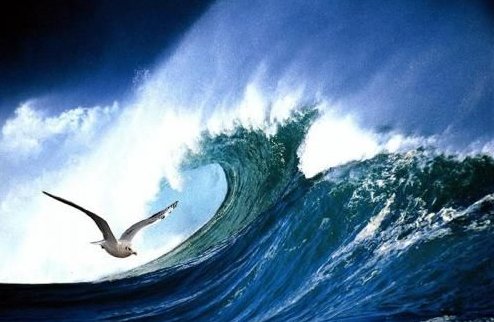 高尔基《海燕》原文