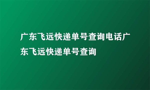 广东飞远快递单号查询电话广东飞远快递单号查询