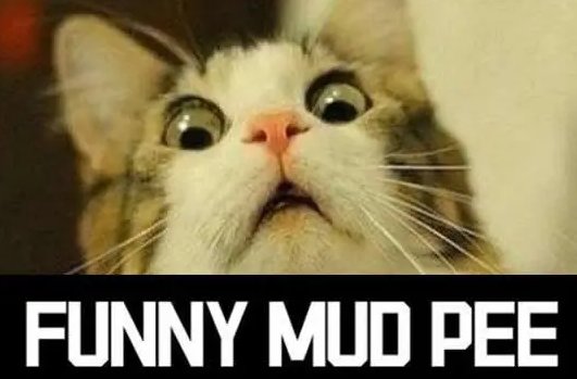 搞笑泥浆去尿是什么梗？