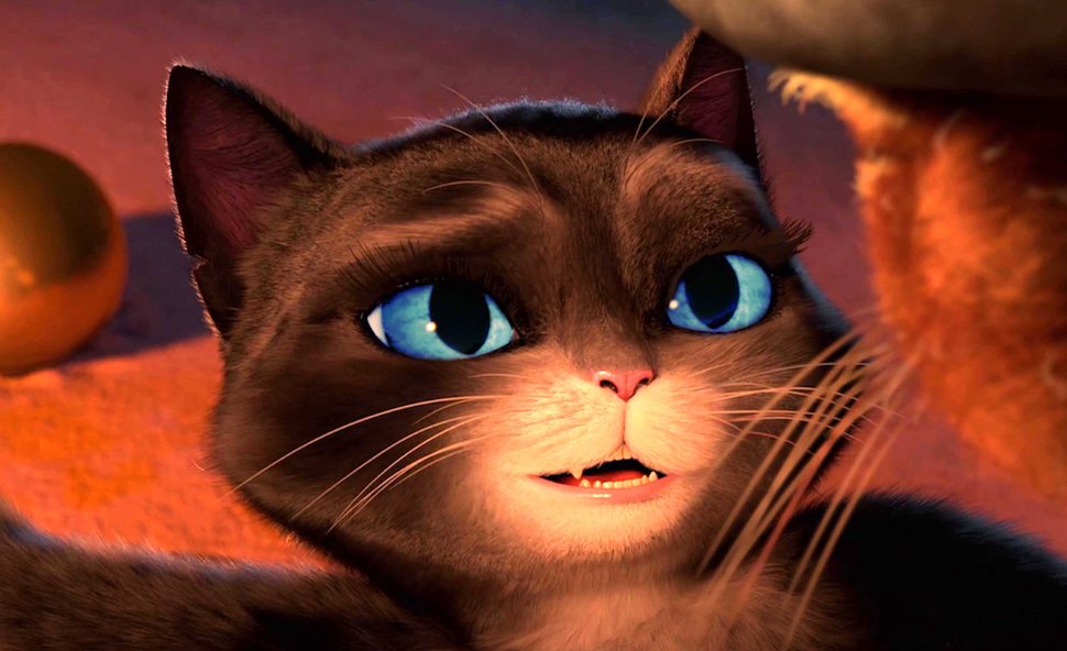 魅惑的意思是什么