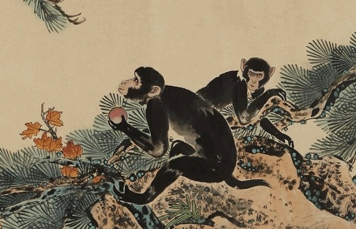 2024年生肖排位表