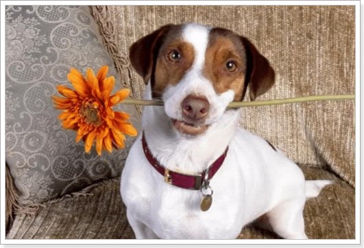 2024年太岁对照表大全