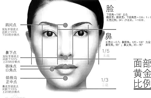 五官是指哪五个方面