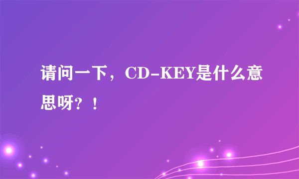 请问一下，CD-KEY是什么意思呀？！