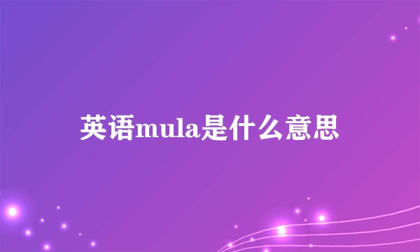 英语mula是什么意思