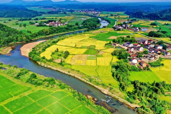 梅子金黄杏子肥的全诗