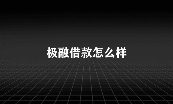 极融借款怎么样