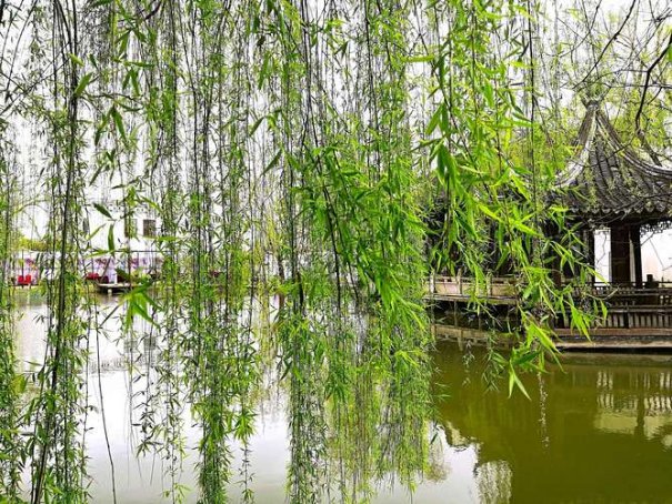 江城子原文及翻译