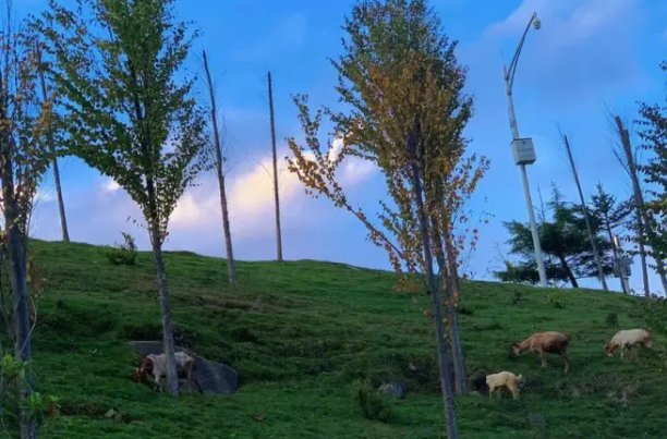 死得其所的拼音