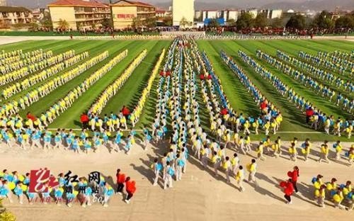 做也是行，立也是行，行也是行，卧也是行，是什么动物？