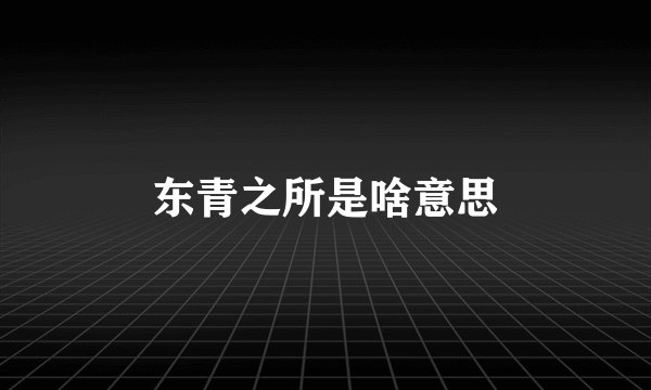 东青之所是啥意思