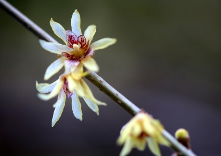 萦绕于心的意思