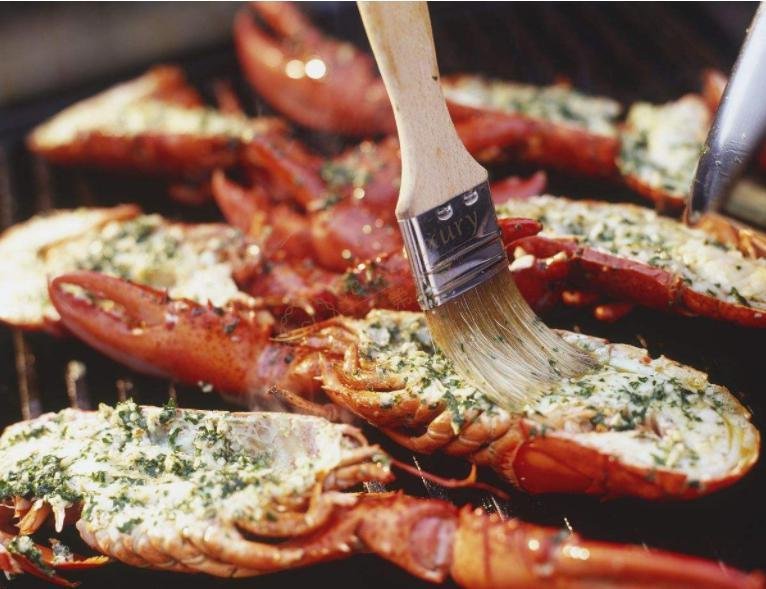 于台龙虾是哪里的