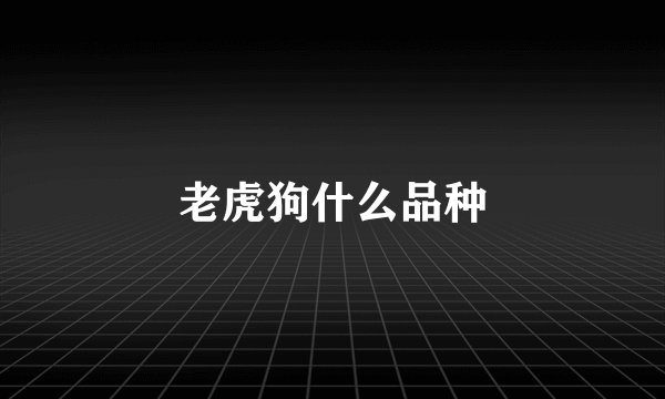 老虎狗什么品种