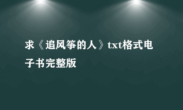 求《追风筝的人》txt格式电子书完整版