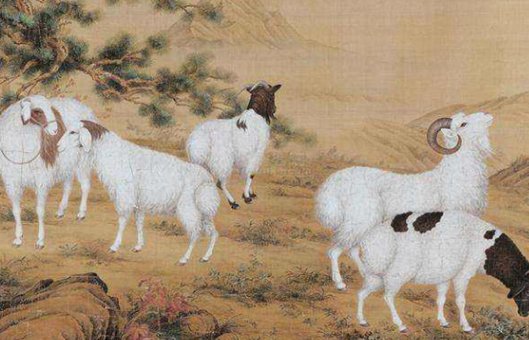 南方是指什么生肖