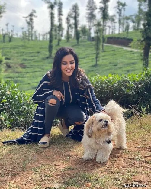 priya英文名的寓意