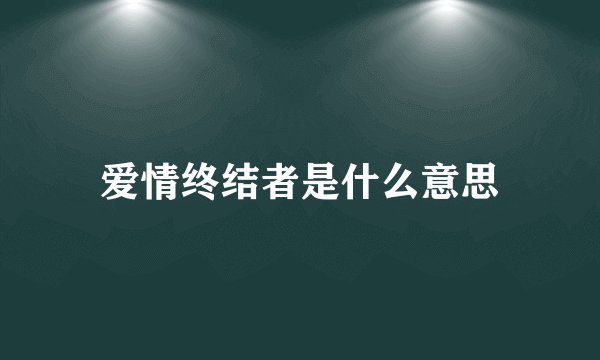 爱情终结者是什么意思