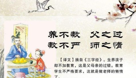 养不教,父之过.教不严,师之惰.的意思?