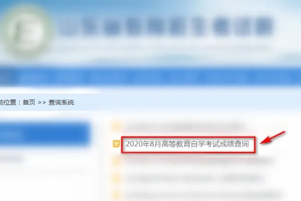 怎么在临沂市教育局查询成绩？