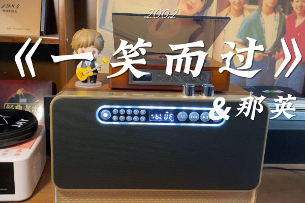 你伤害了我还一笑而过是什么歌