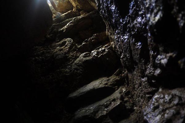 乌鬼的基本信息