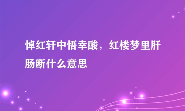悼红轩中悟幸酸，红楼梦里肝肠断什么意思