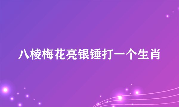 八棱梅花亮银锤打一个生肖