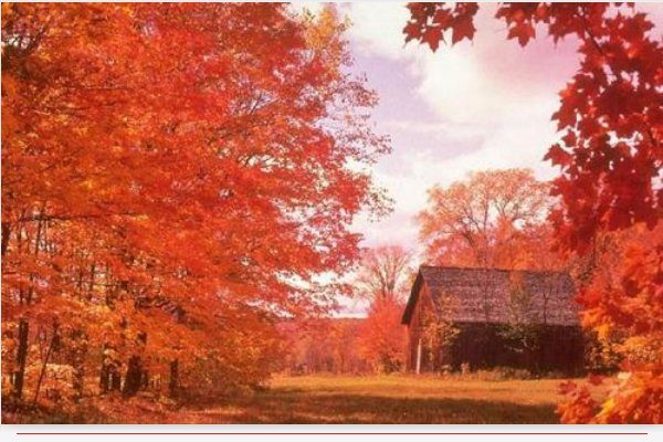 停车坐爱枫林晚，霜叶红于二月花是描述什么季节