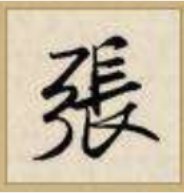 张字的甲骨文,隶书,金文,行书,草书