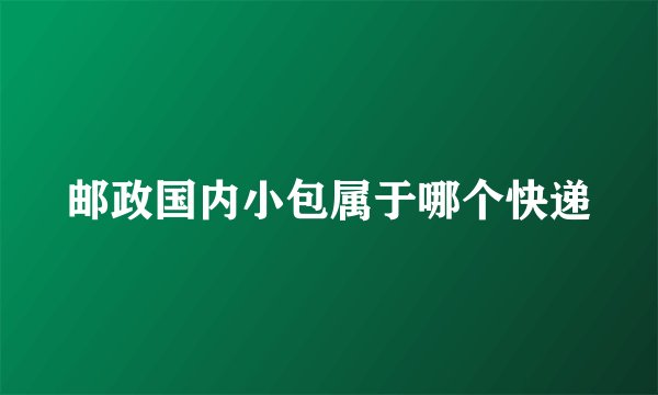 邮政国内小包属于哪个快递