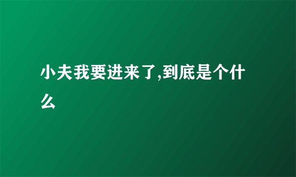 小夫我要进来了,到底是个什么