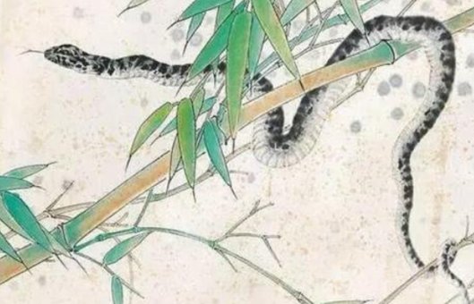 南方是指什么生肖