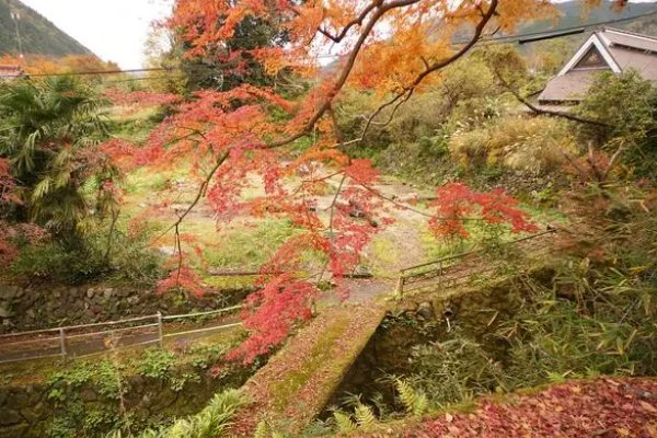 日本一本二本三本的区别