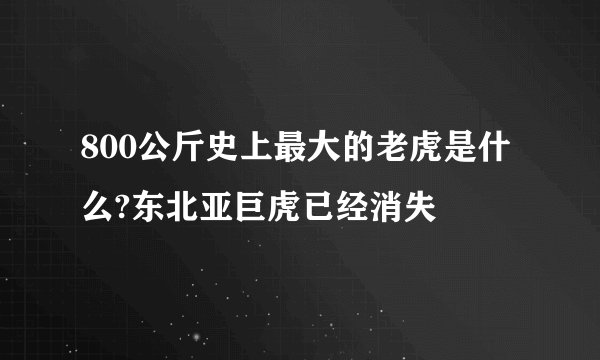 800公斤史上最大的老虎是什么?东北亚巨虎已经消失