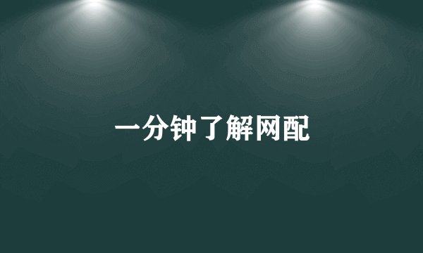 一分钟了解网配