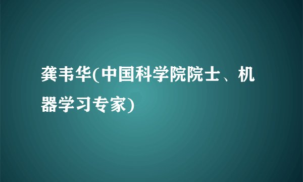 龚韦华(中国科学院院士、机器学习专家)
