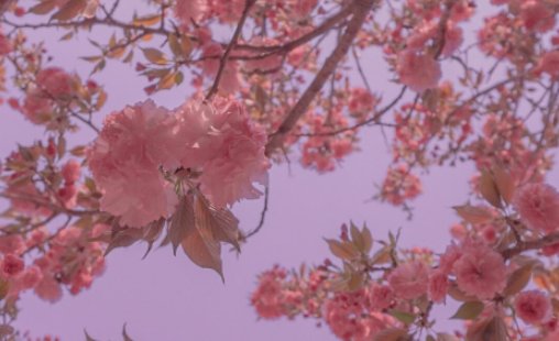 十年匆匆流过下句怎么说