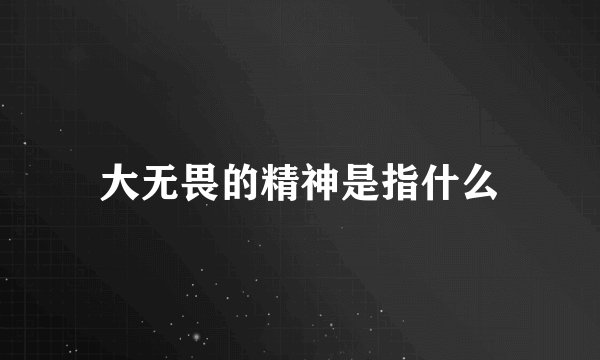 大无畏的精神是指什么