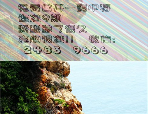 一身两任，指什么生肖