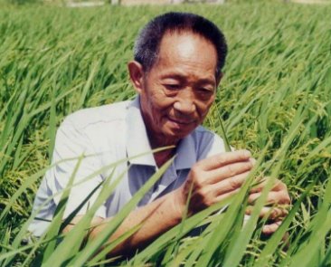 袁隆平院士是专科毕业还是本科毕业？