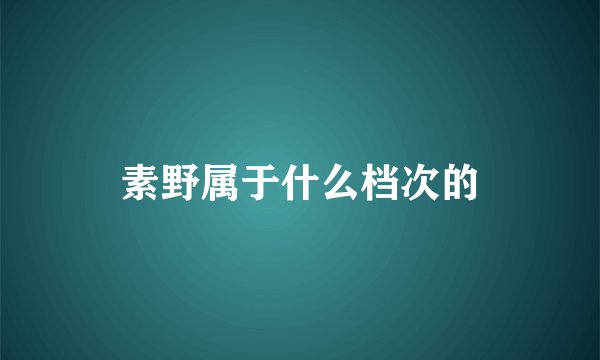 素野属于什么档次的