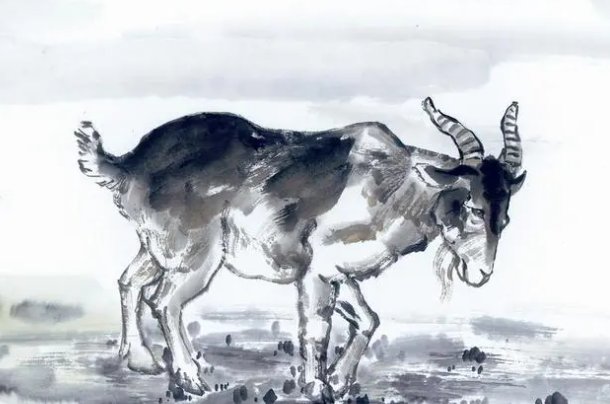 目光如豆什么意思打一生肖