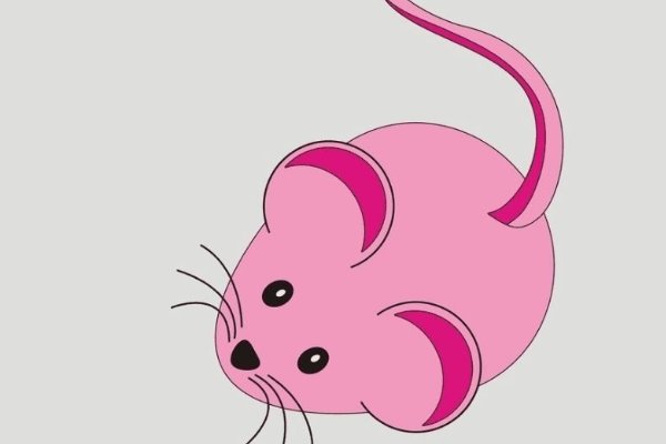 井底之蛙是什么生肖