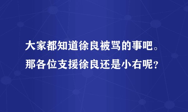 大家都知道徐良被骂的事吧。那各位支援徐良还是小右呢？